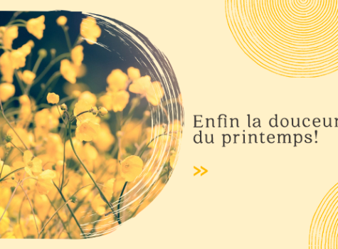 Infolettre – Avril 2023