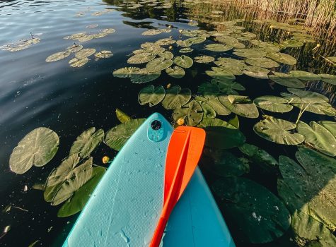 Un été paisible avec Ekinox!