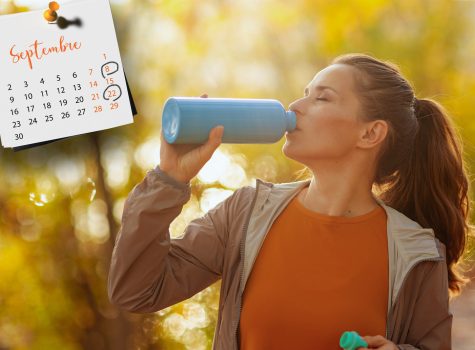 Le 2e cerveau : un allié pour le bien-être