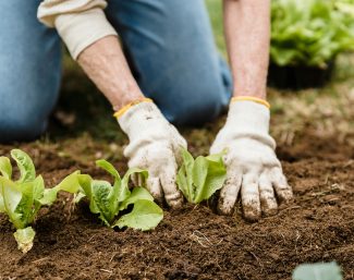 Back Pain After Gardening or Spring Cleaning? 5 Tips to Prevent Pain