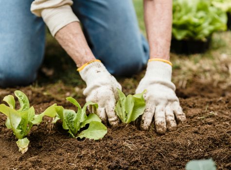 Mal de dos après le jardinage ou le ménage de printemps? 5 conseils pour prévenir les douleurs