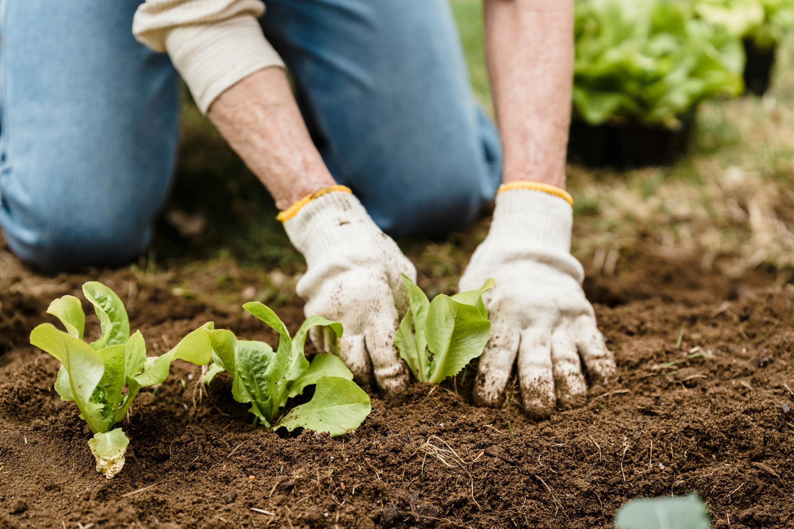 Back Pain After Gardening or Spring Cleaning? 5 Tips to Prevent Pain